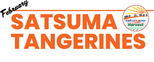 Satsuma 1